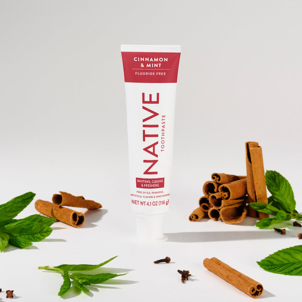 Cinnamon and Mint Toothpaste Classic 4.1oz Care Collection