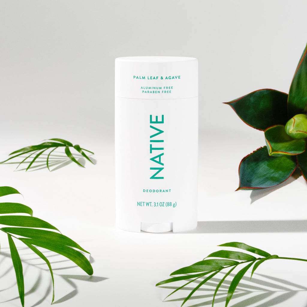 Palm Leaf and Agave Deodorant Stick Classic 3.1oz Care Collection