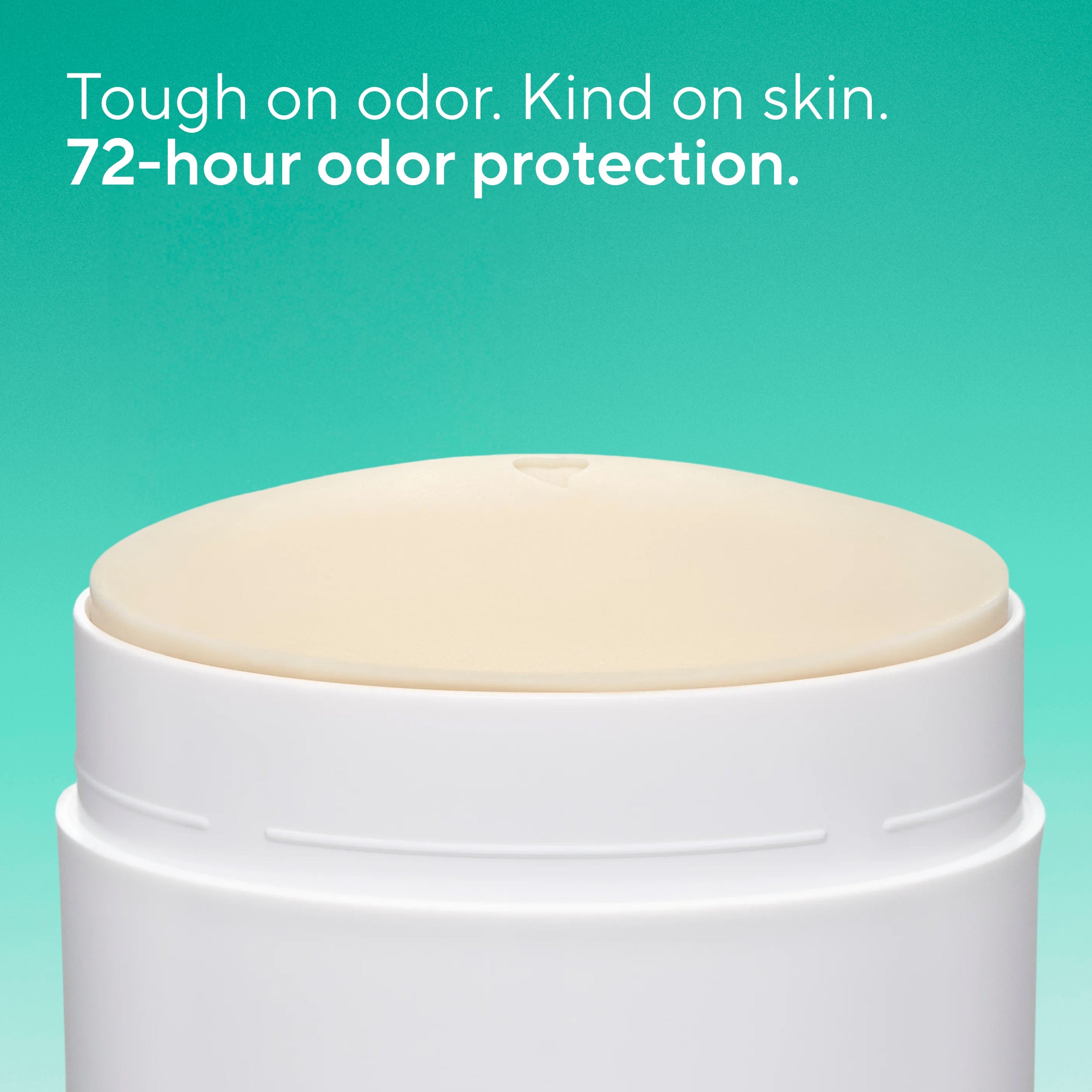 Palm Leaf and Agave Deodorant Stick Classic 3.1oz Care Collection