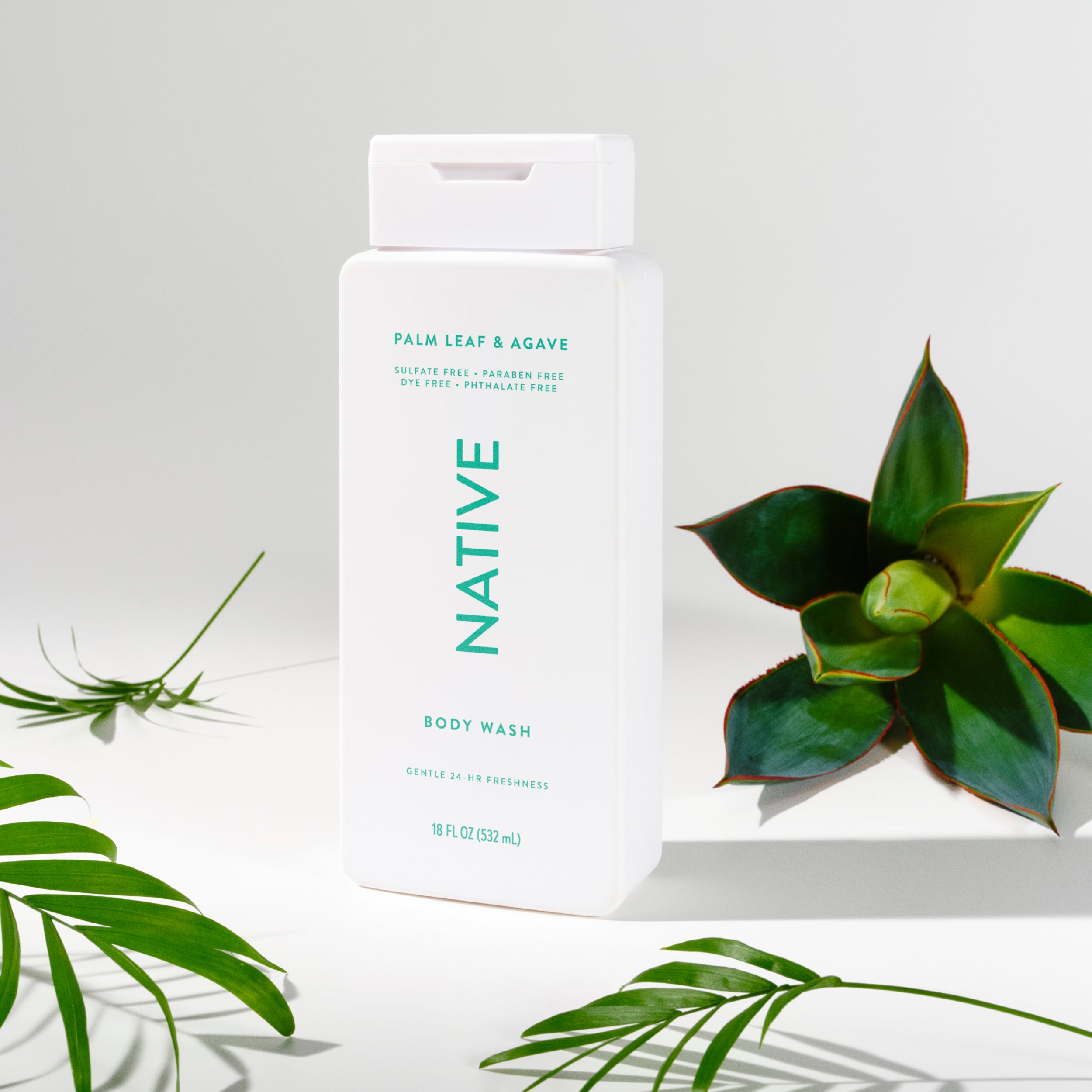 Palm Leaf and Agave Body Wash Classic 18oz Care Collection