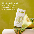 Brazilian Honey Melon Deodorant Stick Limited Edition 2.65oz Care Collection