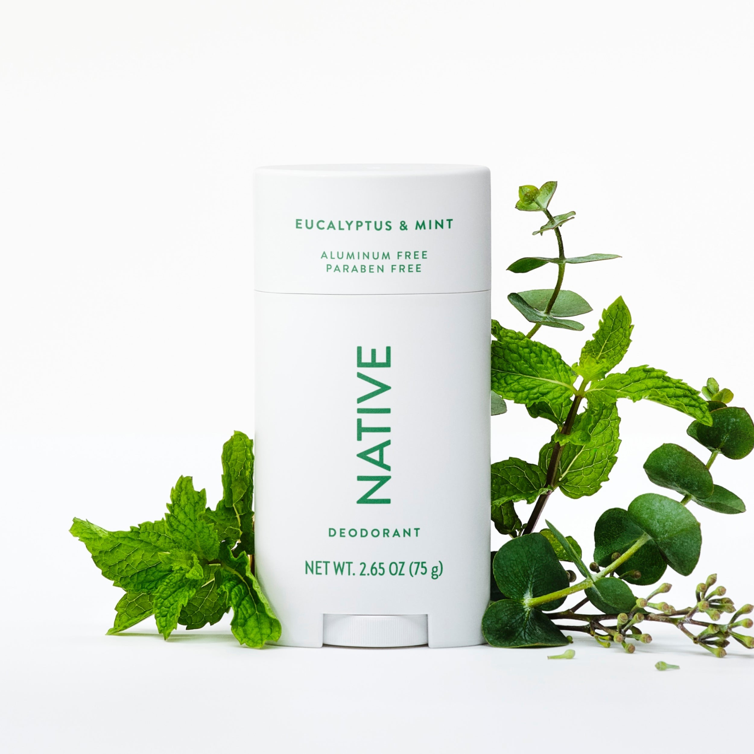 Eucalyptus and Mint Deodorant Stick Classic 2.65oz Care Collection