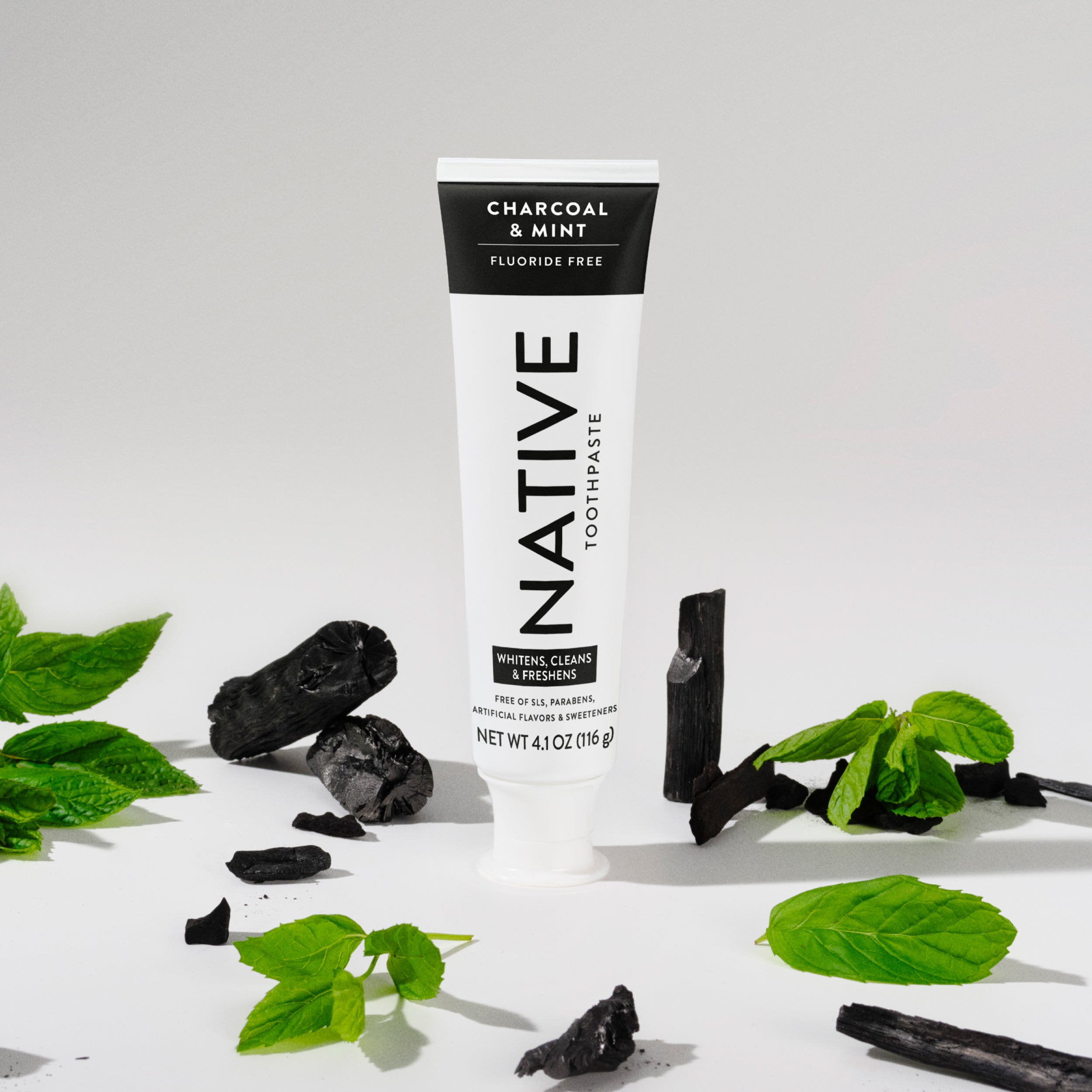 Charcoal and Mint Toothpaste Classic 4.1oz Care Collection