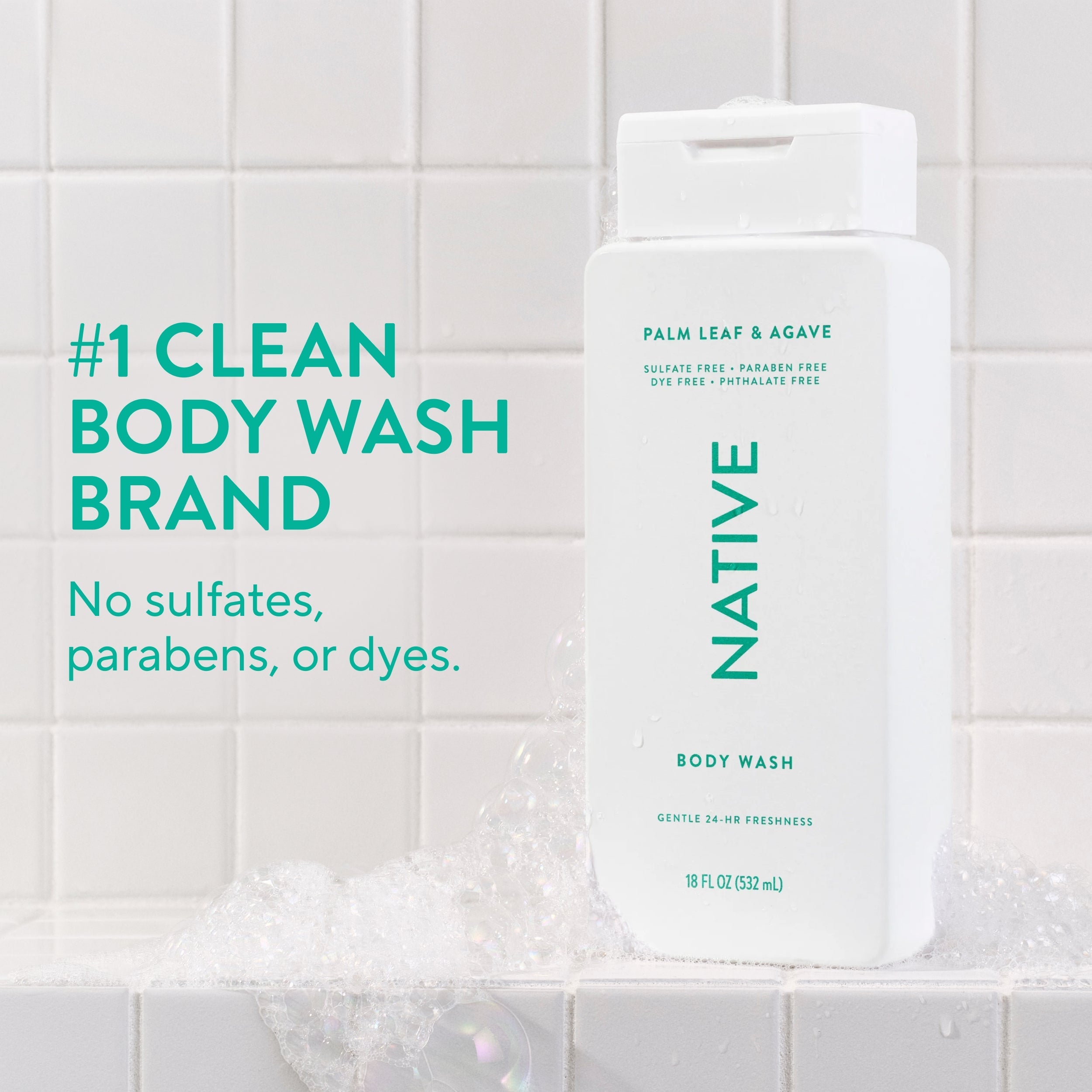 Palm Leaf and Agave Body Wash Classic 18oz Care Collection