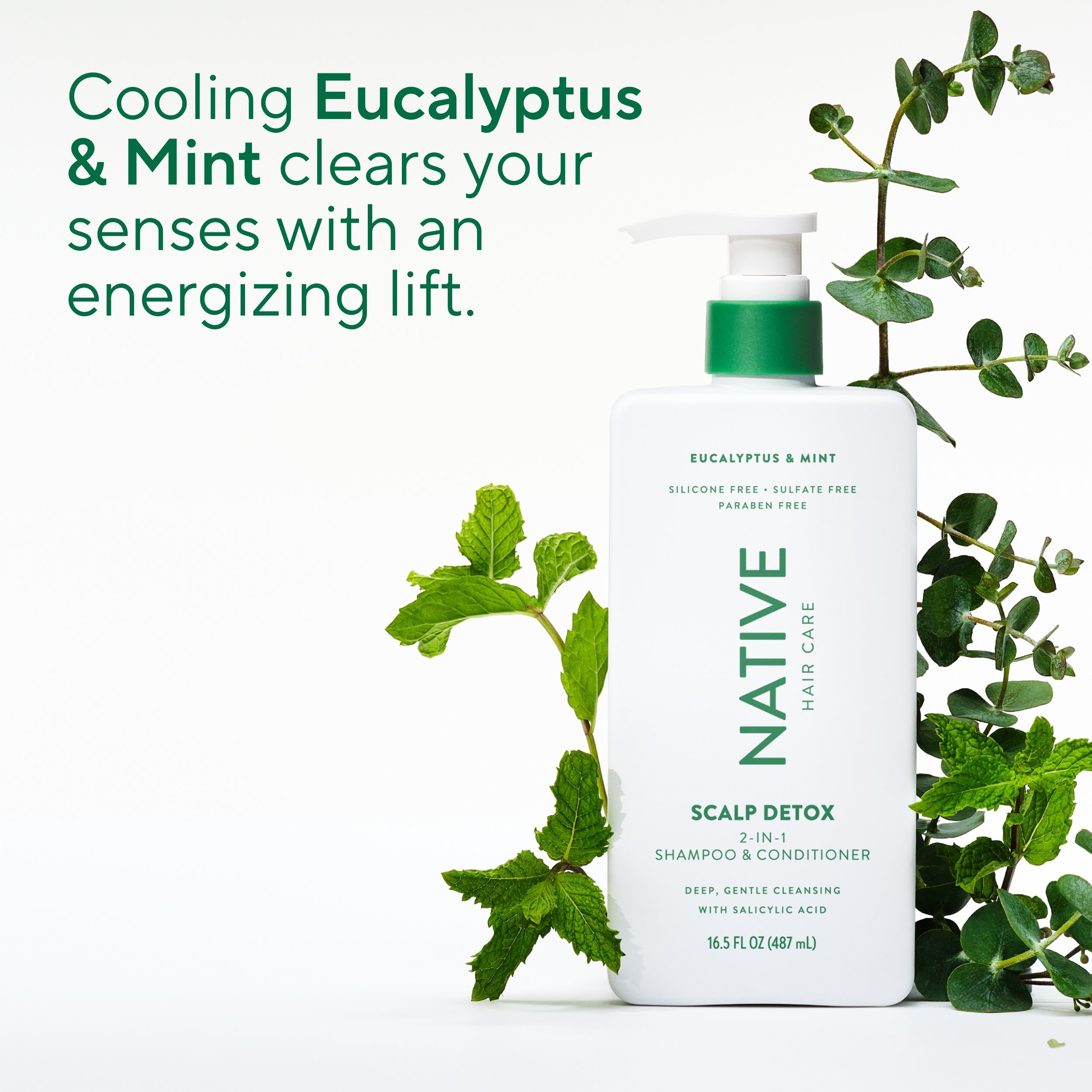 Eucalyptus and Mint Scalp Clarifying 2 in 1 Shampoo and Conditioner Classic 16.5oz Care Collection