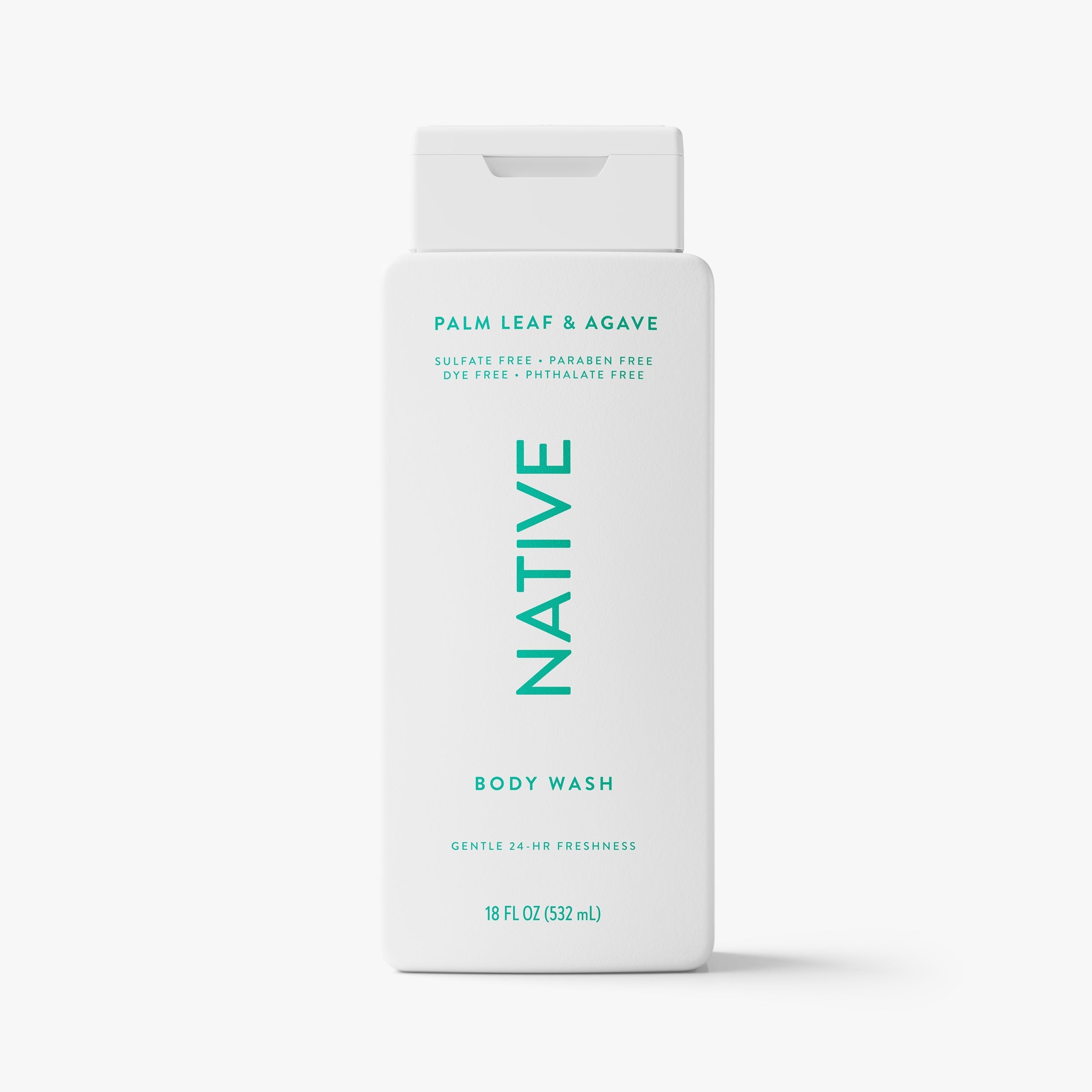 Palm Leaf and Agave Body Wash Classic 18oz Care Collection