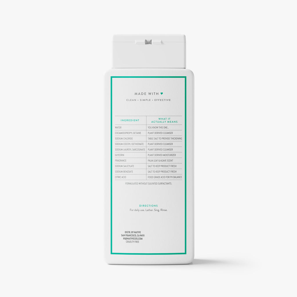 Palm Leaf and Agave Body Wash Classic 18oz Care Collection